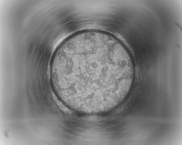 X0000101450791200808041017