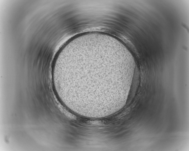 X0000101450792200808041017