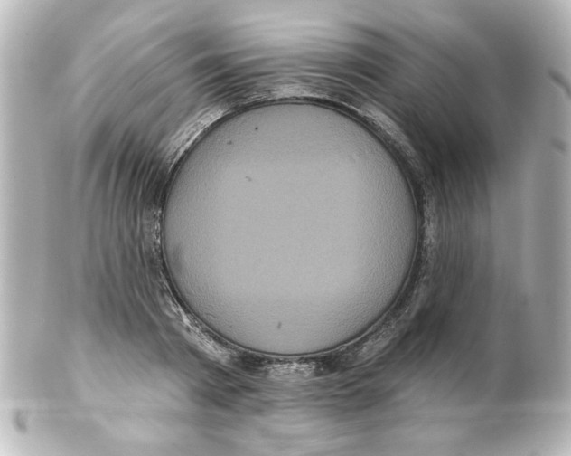 X0000101450793200808041017