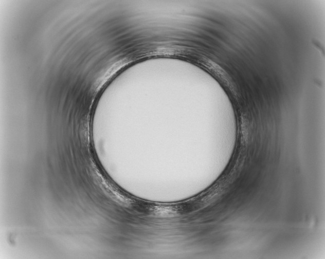 X0000101450794200808041017