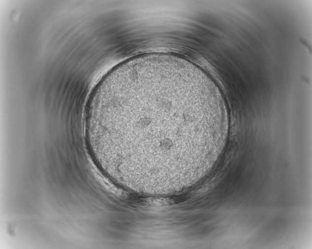 X0000101450795200808041017