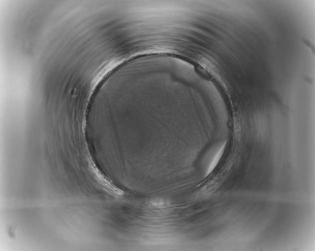 X0000101450797200808041017