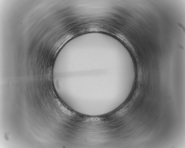 X0000101450801200808041017