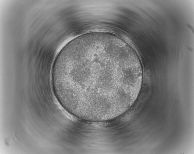 X0000101450803200808041017