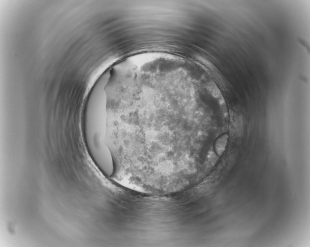 X0000101450804200808041017