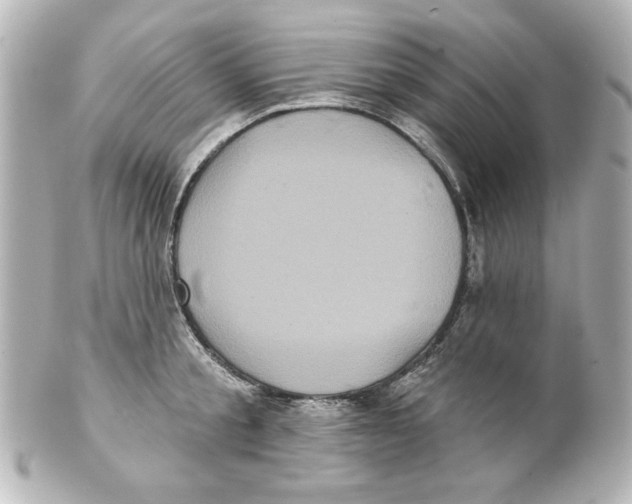 X0000101450805200808041017