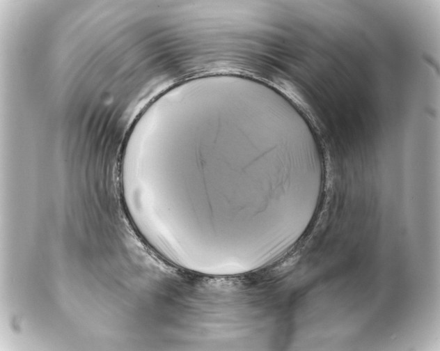 X0000101450806200808041017