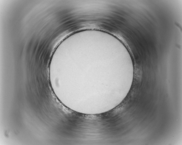 X0000101450807200808041017