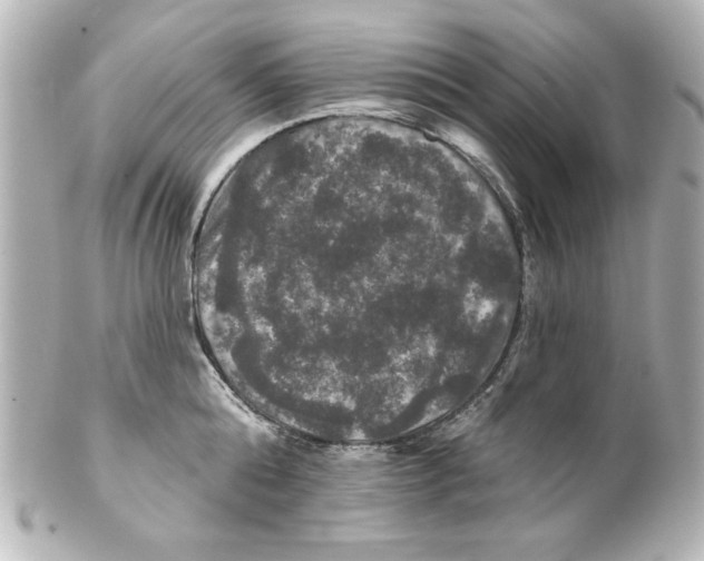 X0000101450808200808041017