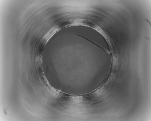 X0000101450809200808041017