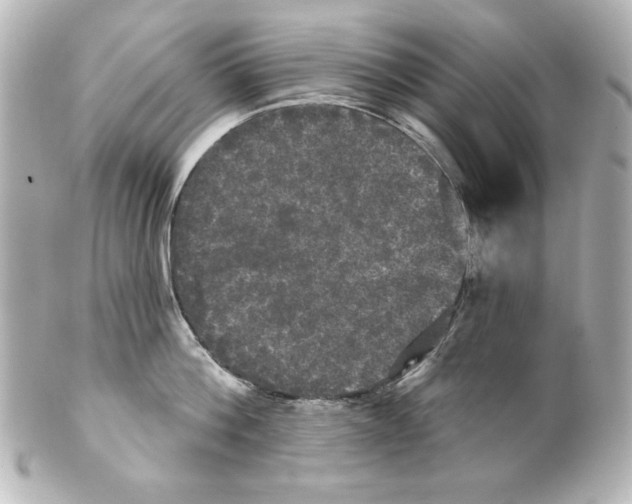 X0000101450812200808041017