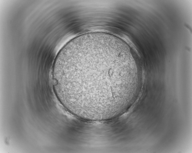 X0000101450814200808041017