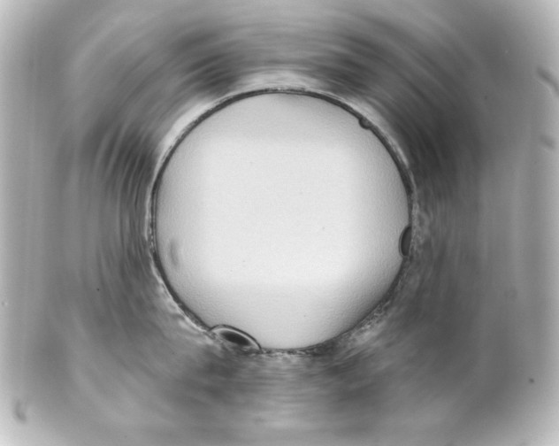 X0000101450815200808041017