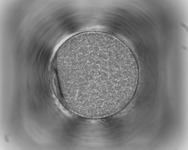 X0000101450816200808041017