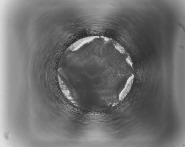 X0000101450817200808041016