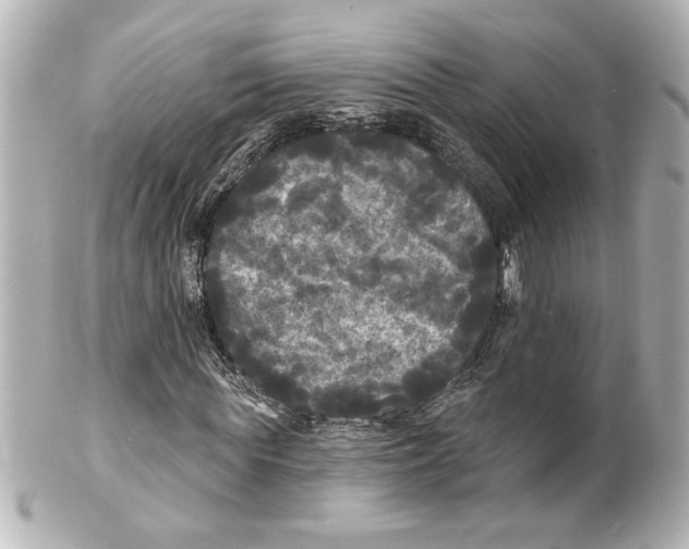 X0000101450819200808041016