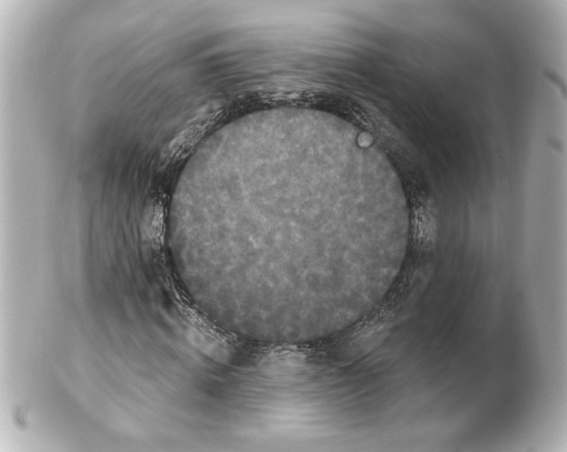 X0000101450820200808041016