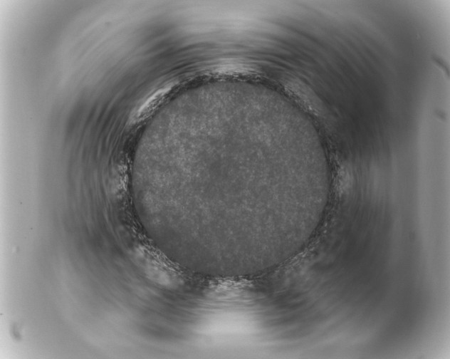 X0000101450824200808041016