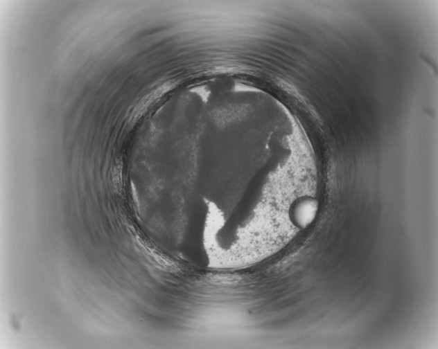 X0000101450825200808041016