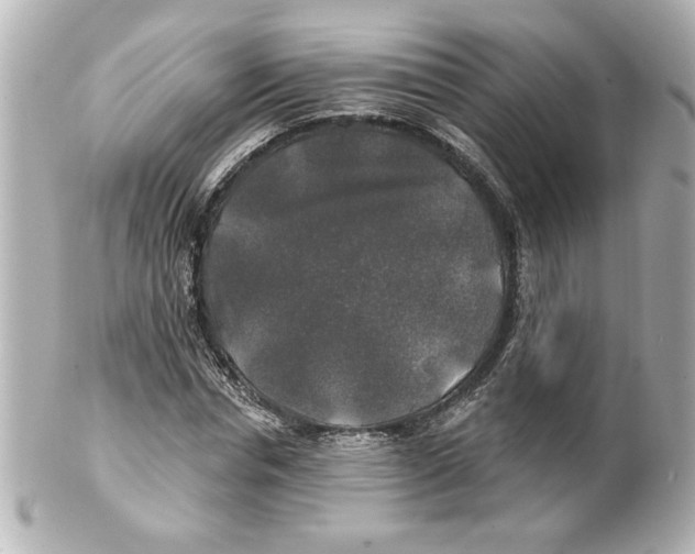 X0000101450826200808041016