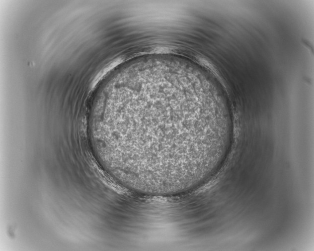 X0000101450827200808041016