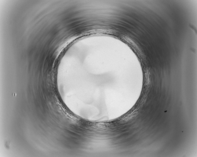 X0000101450828200808041016