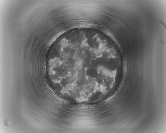 X0000101450829200808041016