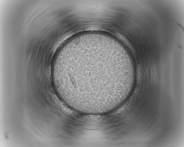 X0000101450831200808041016