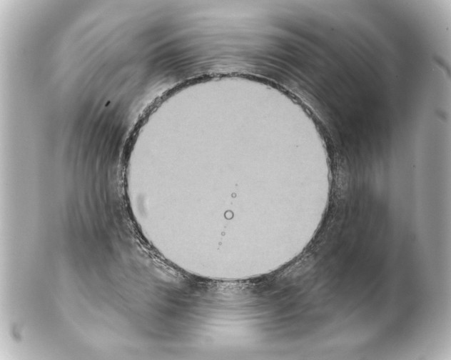 X0000101450832200808041016