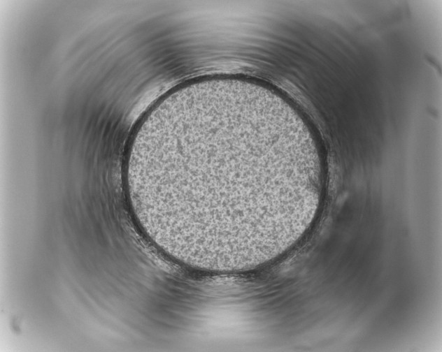 X0000101450834200808041016