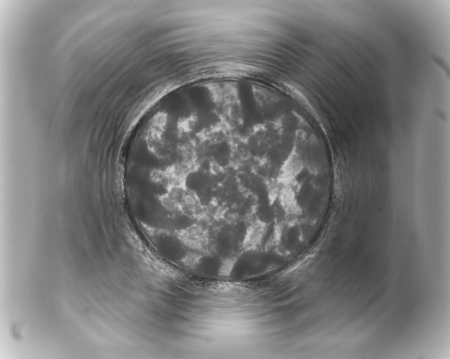 X0000101450835200808041016