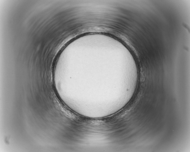 X0000101450837200808041017