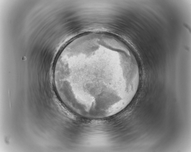 X0000101450840200808041017