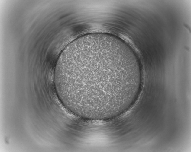 X0000101450841200808041017