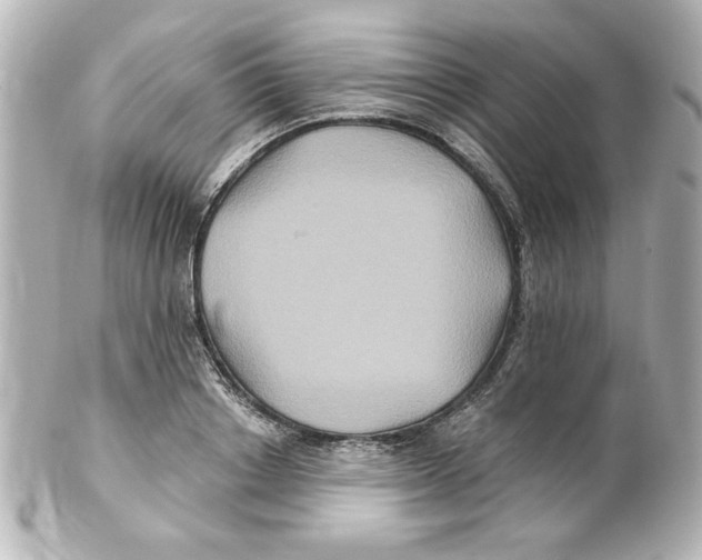 X0000101450842200808041017