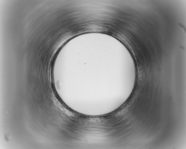 X0000101450843200808041017