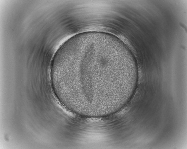 X0000101450846200808041017