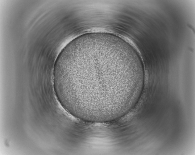 X0000101450847200808041017