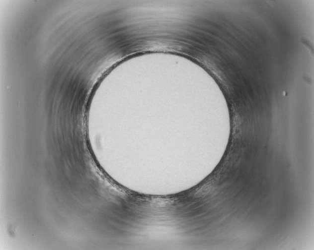 X0000101450848200808041017