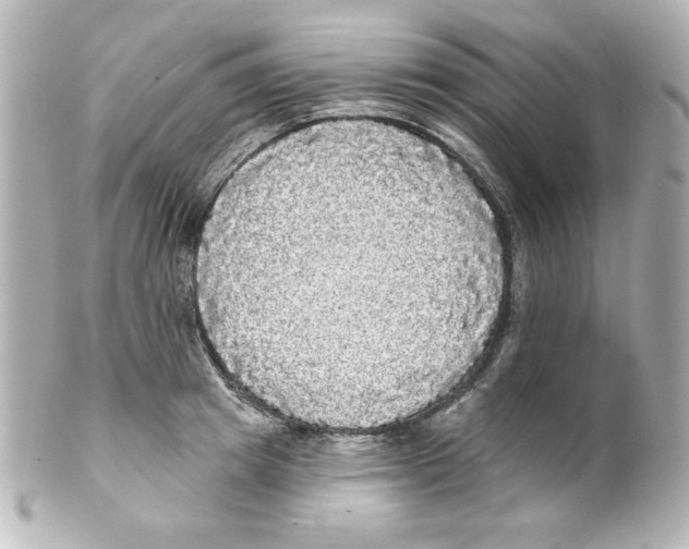 X0000101450849200808041017