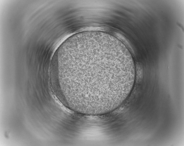 X0000101450852200808041017