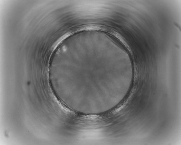 X0000101450853200808041017