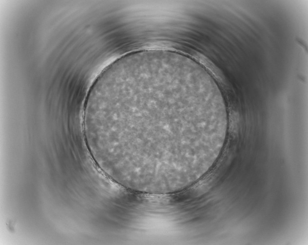 X0000101450856200808041017