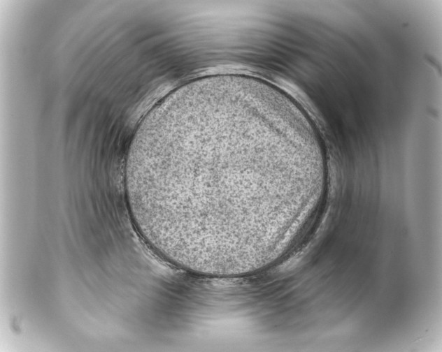 X0000101450857200808041017