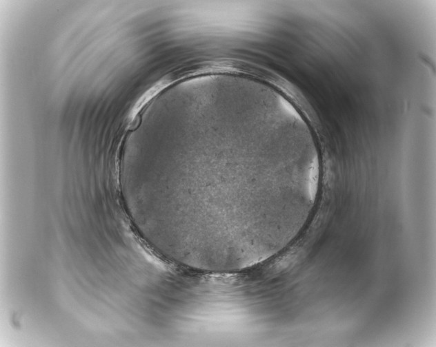 X0000101450858200808041017