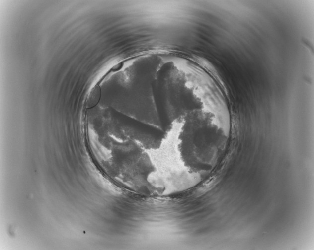 X0000101450859200808041017