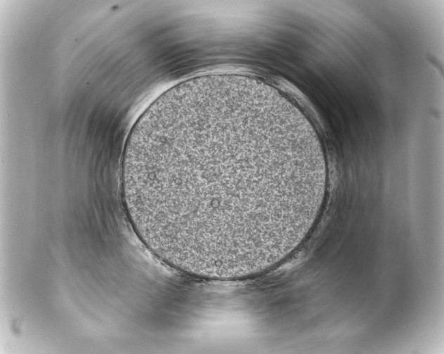 X0000101450860200808041017