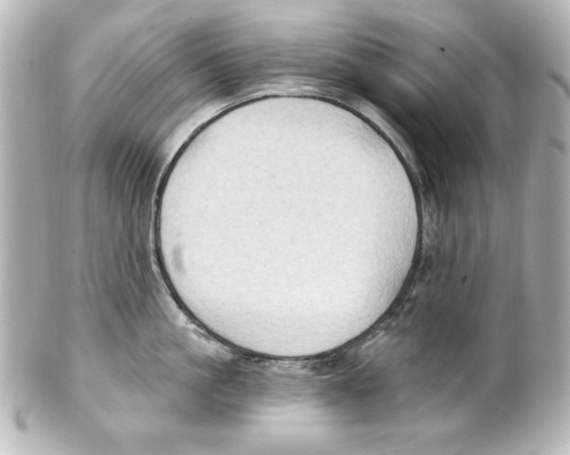 X0000101450861200808041017