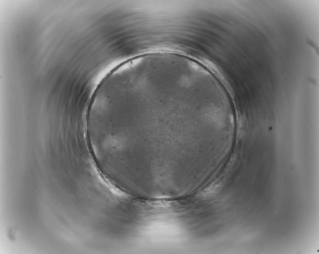 X0000101450862200808041017