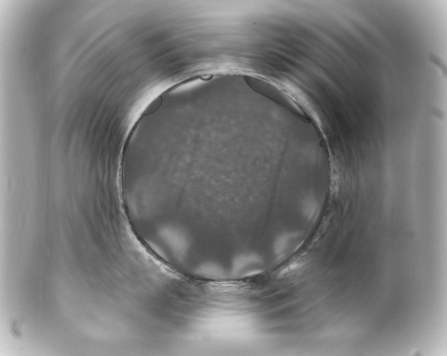 X0000101450863200808041017